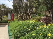 寸滩 启迪协信重庆科技城云峯三房100万