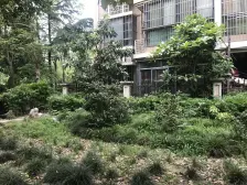 南北通透,商品房型,看房随时,
