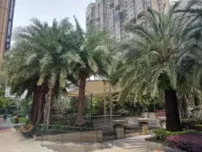 产权清晰随时可以过户,精装修5000元平,原酿酒厂用地