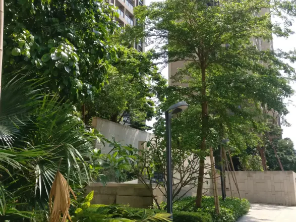 大冲城市花园