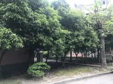 本小区道路干净整洁 环境好 停车方便 户型正气