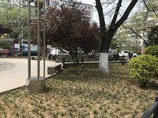 新桥路小区 1室1厅 南 北