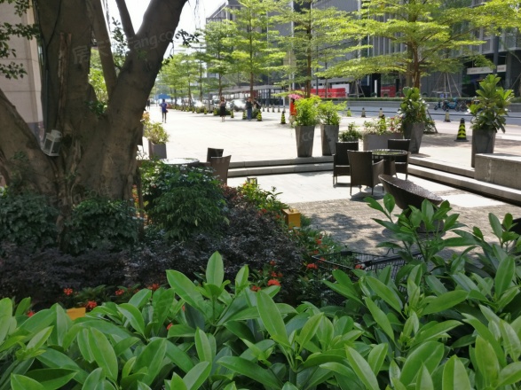 大冲城市花园