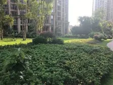 启迪协信重庆科技城云峰 4室2厅 南