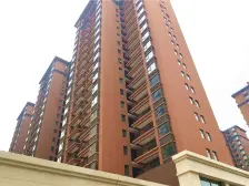 龙栖湾1号院 2室1厅 南