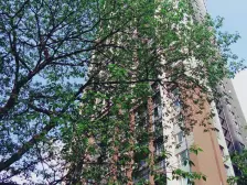 东原锦悦 2室1厅 西南 北