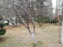 易捷空间 1室1厅 西南