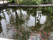 三里花城 2室1厅 南