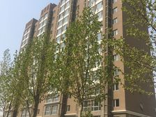 蓝桥驿苑1室1厅南北
