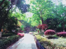 东原锦悦 2室1厅 西南