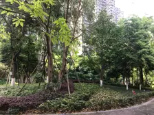 央企开发商,高层和洋房组合小区,精装修,拎包入住