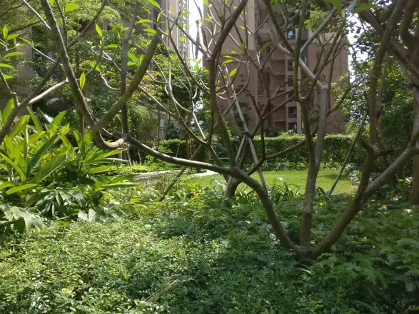 大冲城市花园