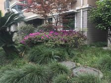 房子位置好户型方方正正适合年轻小夫妻居住