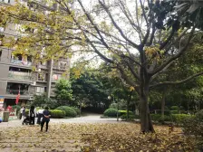 环线天星桥站【精装三房,拎包入住】视野俱佳,采光好