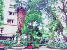 南坪东路 左岸阳光一房36.5万