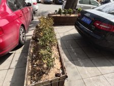 伊景华园一室方正户型 东南向 落地窗 采光好