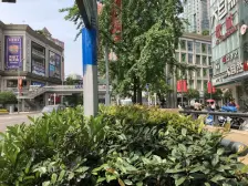 杨家坪 西郊大厦四房70万