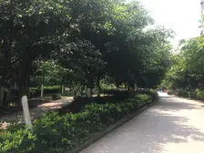 业主诚心卖 价格可以谈 户型方正