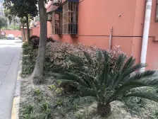 宝山区通河泗塘通河七村2室1厅