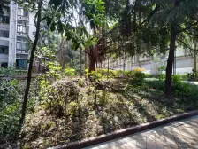 彩云湖旁边,户型方正,业主诚心卖