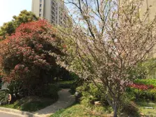 嘉定新城·保利星海屿-洪德路683弄·3室·2厅