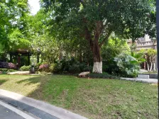 婚房装修大三房呢