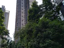 彩云湖公园旁,可看公园采光视野好,业主诚心卖