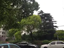 江湾 · 凉**区 · 1室 · 1厅