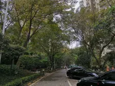 杨公桥 华宇林泉雅舍三房120万