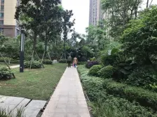 金辉城3房+中间楼层+清水+视野好采光好