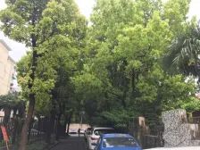 绿苑小区(虹口) 1室1厅 南