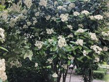 地铁口景观房房东置换市区诚意出售