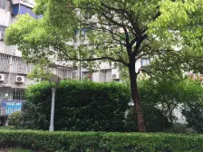 江湾·凉**区·2室·1厅