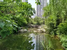 公园里的花园洋房 精装底跃 带前后花园