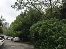 一室一厅的格局,边套全明户型。