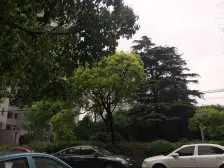 江湾·凉**区·3室·1厅
