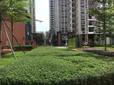 越秀品牌 一级物业 业主诚意出售的 不靠路