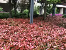 小两房设计 诚心出售 随时看房 周边配套完善