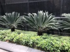 南滨路上正轨三房。成熟社区,配套完善