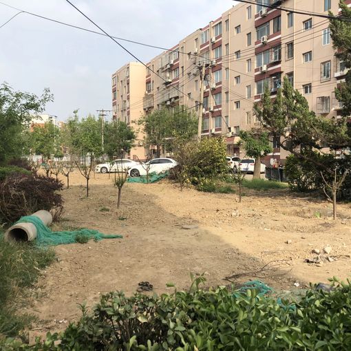 龙华园小区1室1厅1卫南北朝向4800.00元/月出租