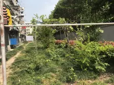 泗塘八村 1室1厅 南