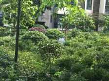 大渡口平安轻轨站精装三室两厅两卫