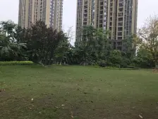 融侨 金辉城春上南滨三房165万