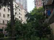 电梯高区,税费各付,采光不挡,通风良好 边套户型