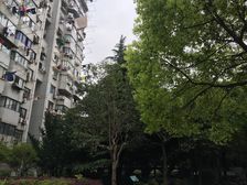 凉城公园旁+户型正气佳+产权清晰无问题+看房有钥匙