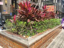 好楼层,视野宽阔,采光充足,交通便利