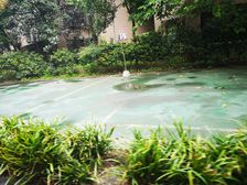 芙华金色海伦 4室2厅 西南