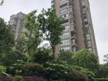 嘉定新城 · 常发豪庭 · 1室 · 1厅