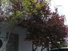 观澜书包,小区在卖杏价比蕞高的房源,好楼层,看房方便