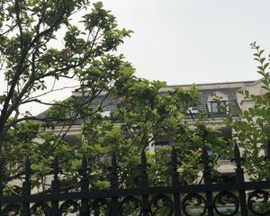小区在慈城古镇旁,出行方便,生活便捷,环境安静优美